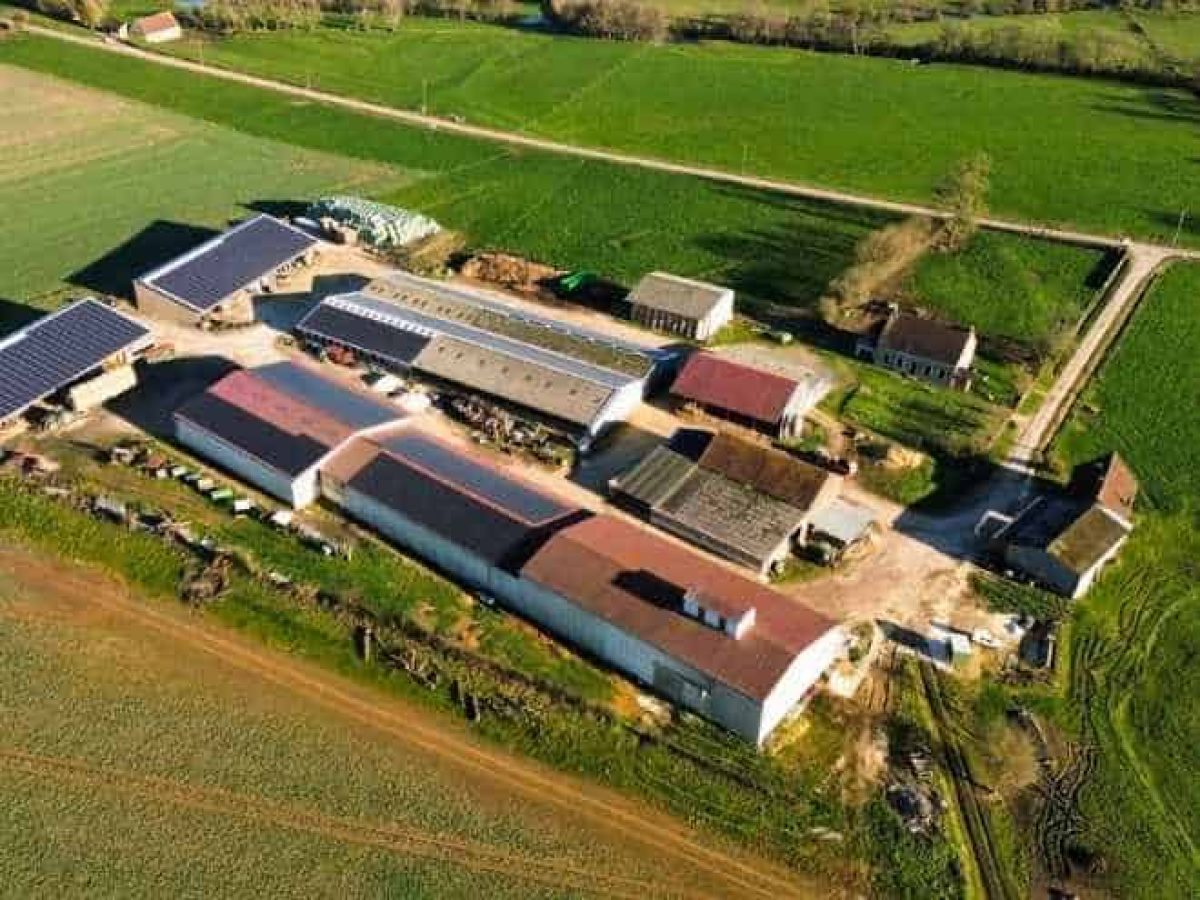 Recherche d’associé pour une exploitation agricole en polyculture-élevage bovin allaitant – Nièvre (58)