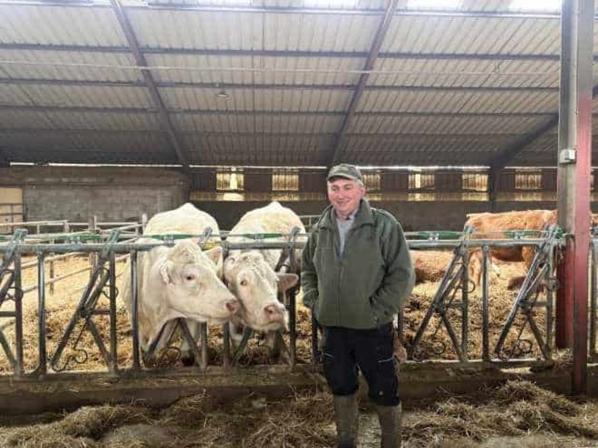 Recherche d’associé pour une exploitation agricole en polyculture-élevage bovin allaitant – Nièvre (58)