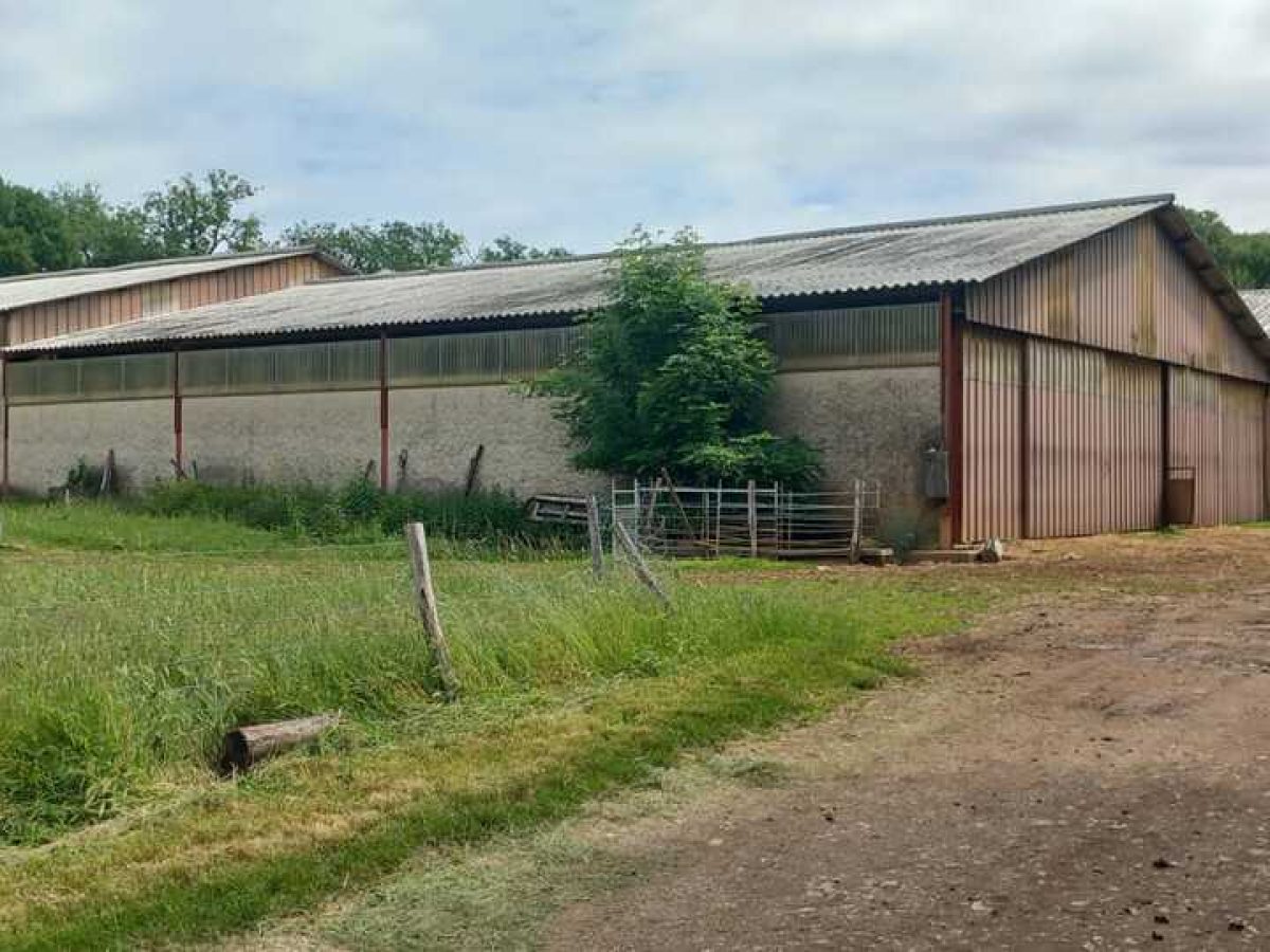 Ferme d’élevage ovin à reprendre sur la région agricole du Limargue – Lot (46)
