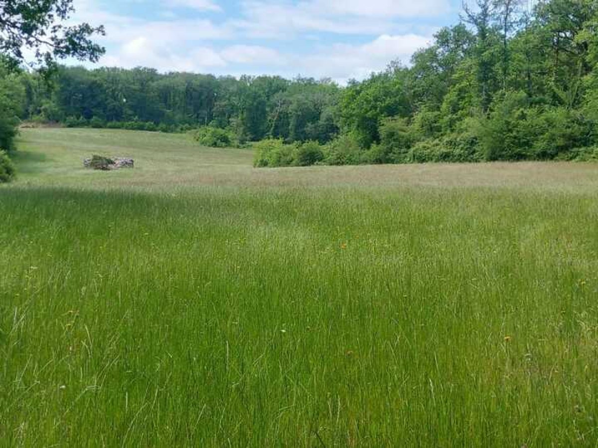Ferme d’élevage ovin à reprendre sur la région agricole du Limargue – Lot (46)