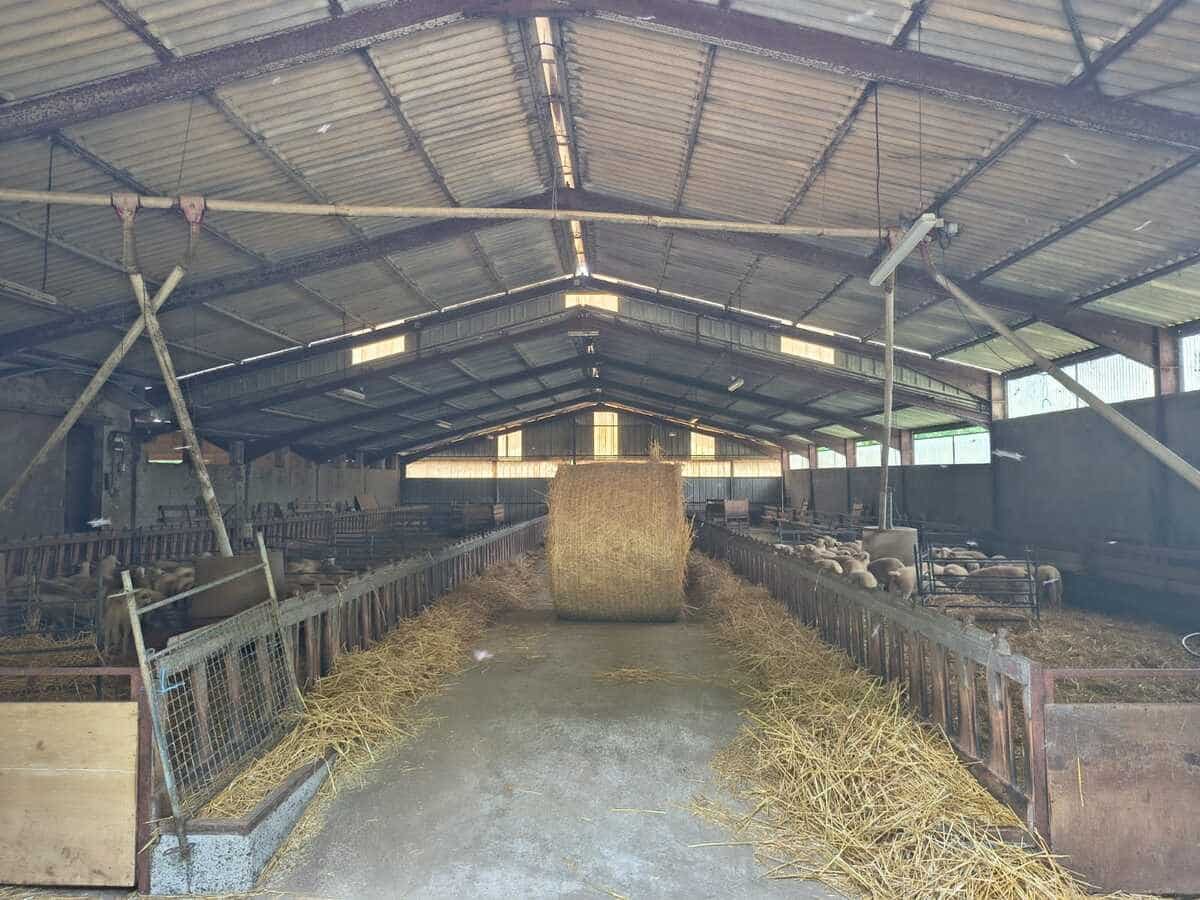 Ferme d’élevage ovin à reprendre sur la région agricole du Limargue – Lot (46)