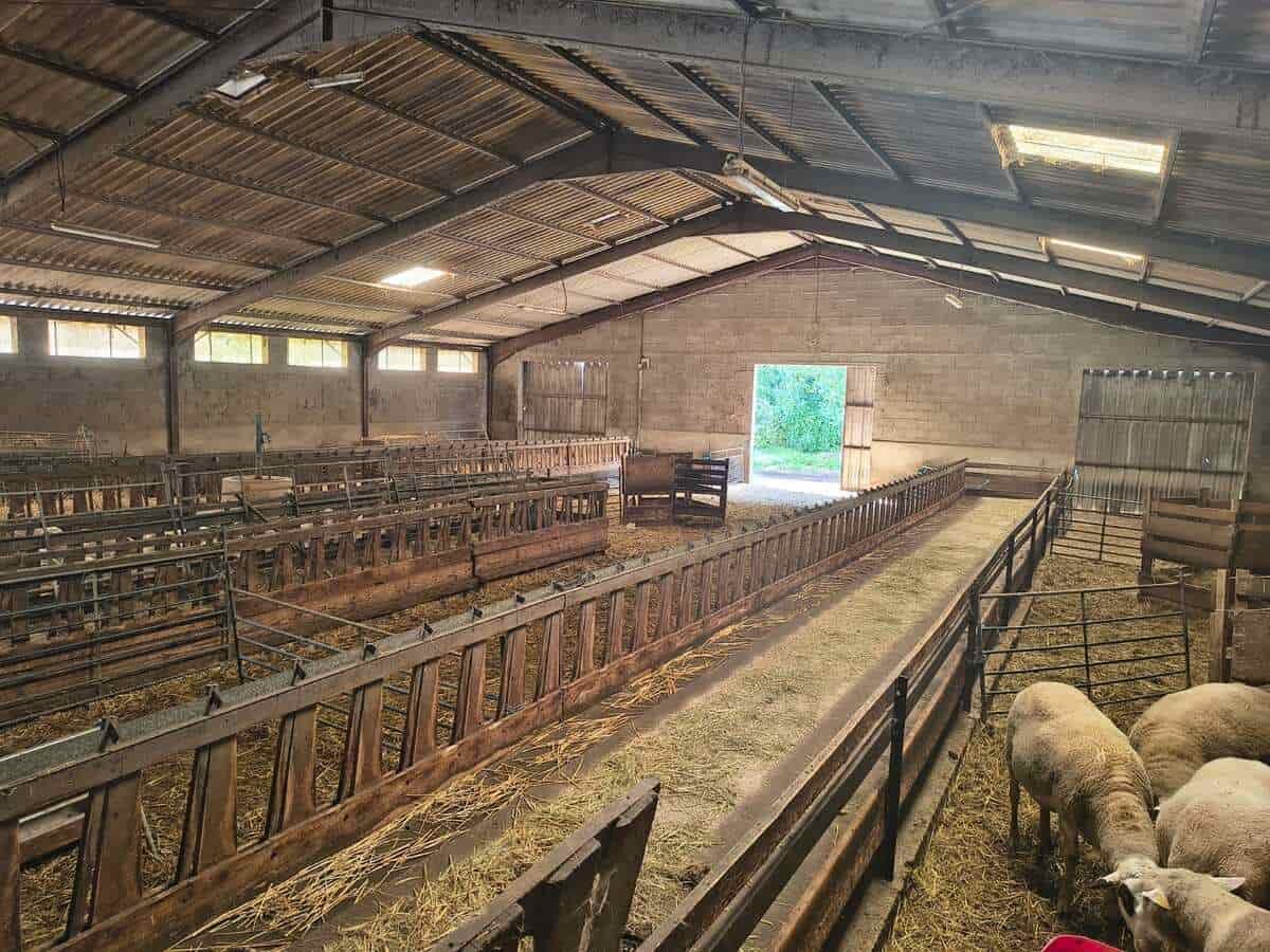 Ferme d’élevage ovin à reprendre sur la région agricole du Limargue – Lot (46)