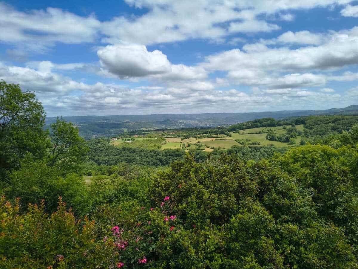 Ferme d’élevage ovin à reprendre sur la région agricole du Limargue – Lot (46)