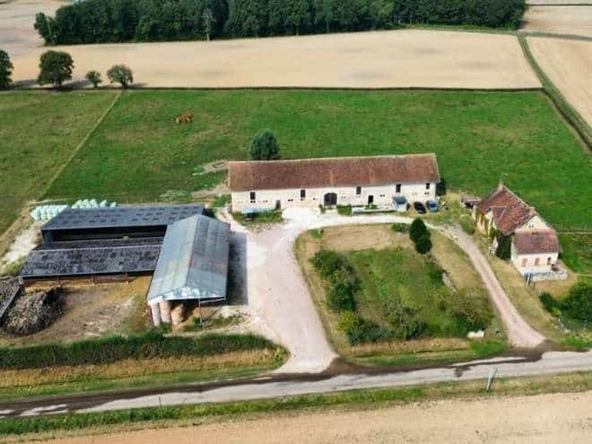 Recherche d’associé pour une exploitation agricole en polyculture-élevage bovin allaitant – Nièvre (58)