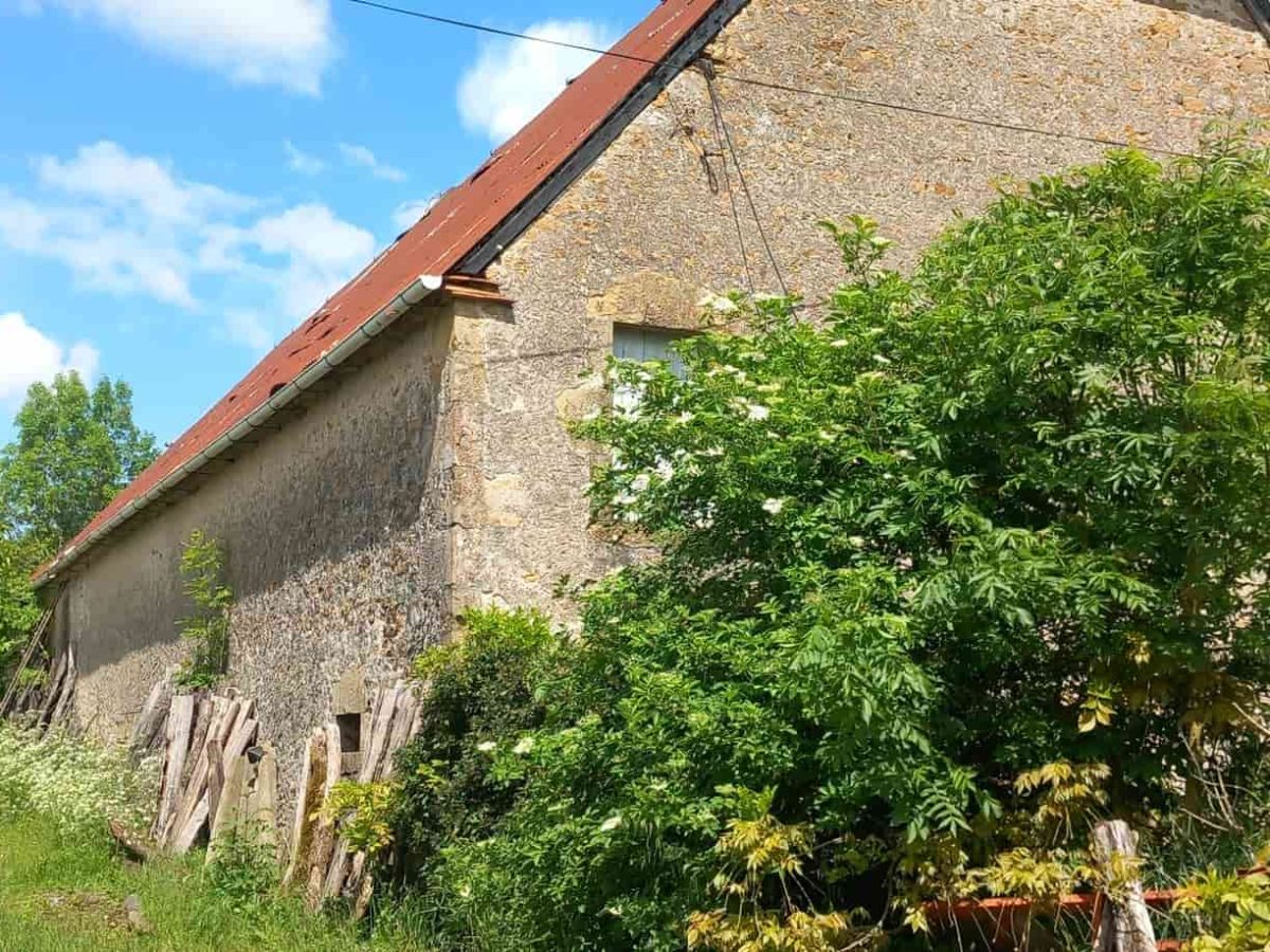 Ferme d’élevage bovin allaitant à reprendre sur le Causse de Gramat – Lot (46)