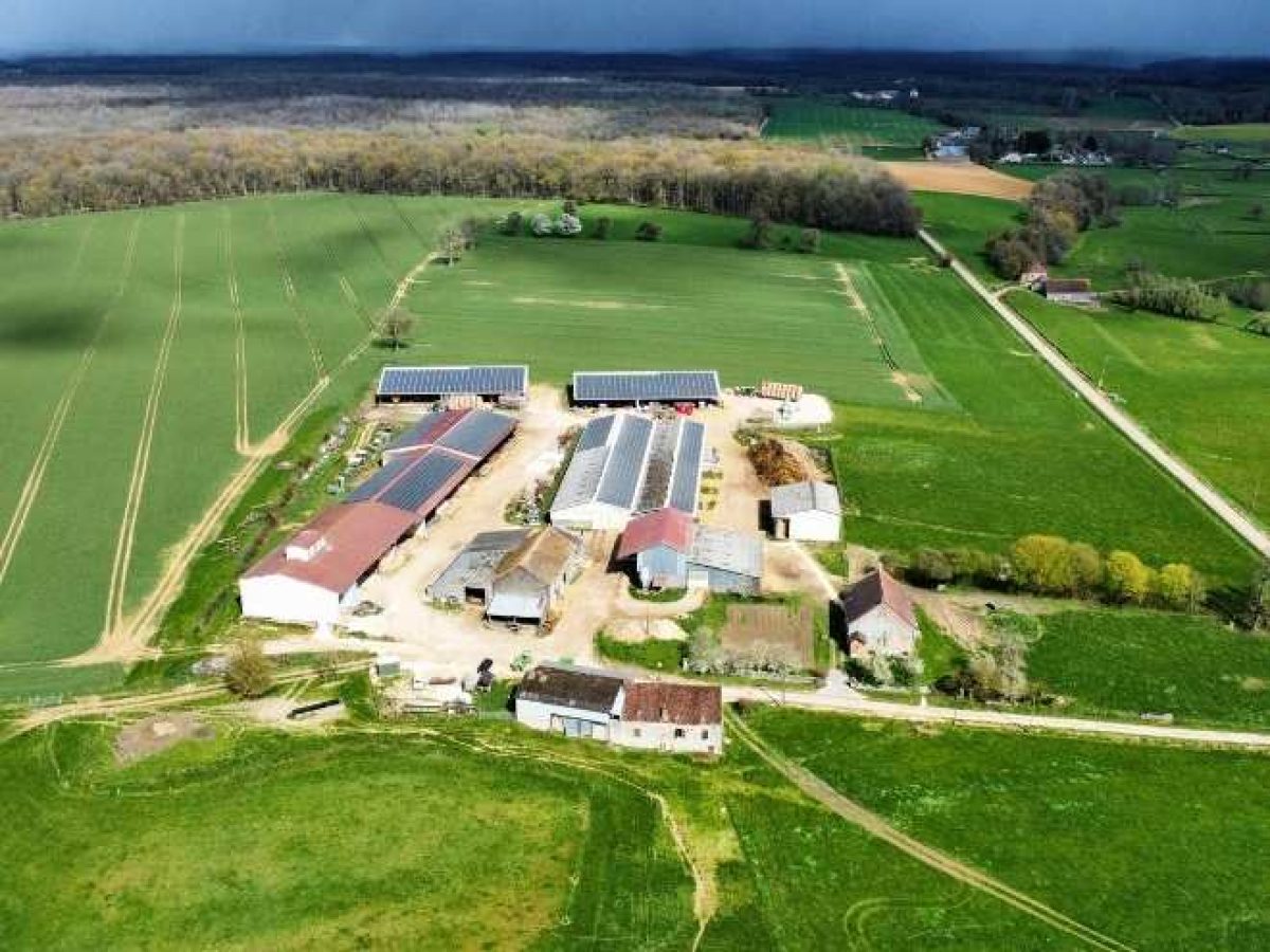 Recherche d’associé pour une exploitation agricole en polyculture-élevage bovin allaitant – Nièvre (58)