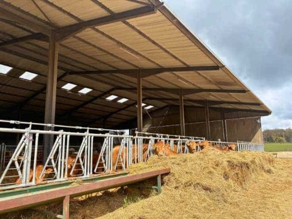 Recherche d’associé pour une exploitation agricole en polyculture-élevage bovin allaitant – Nièvre (58)