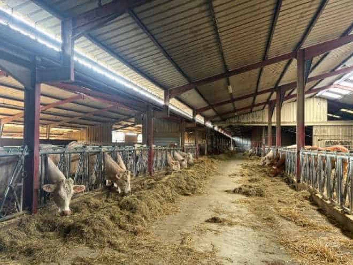 Recherche d’associé pour une exploitation agricole en polyculture-élevage bovin allaitant – Nièvre (58)