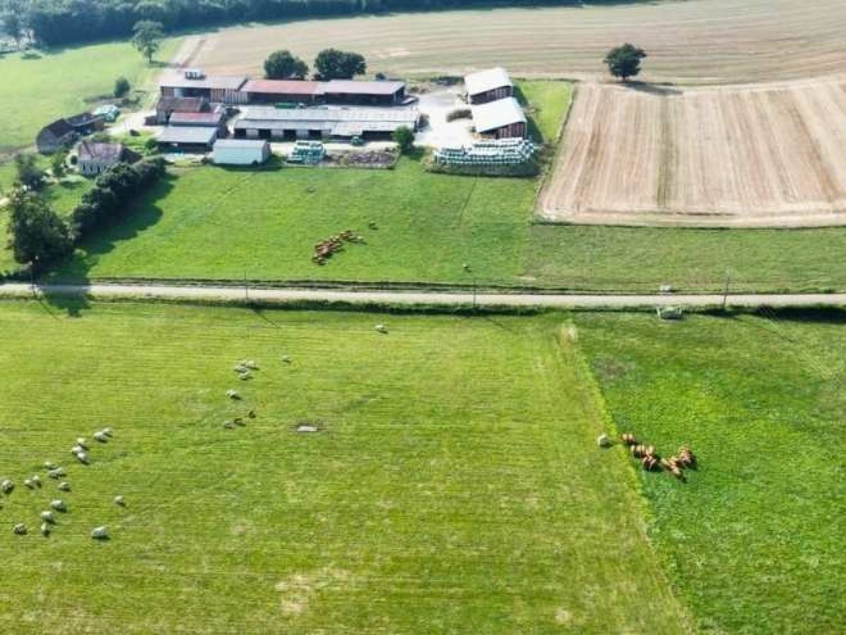Recherche d’associé pour une exploitation agricole en polyculture-élevage bovin allaitant – Nièvre (58)