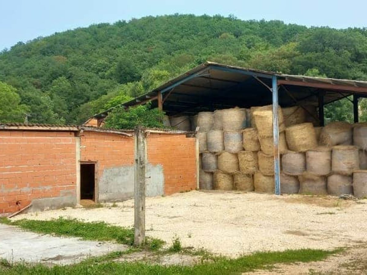 Ferme d’élevage caprin de 52 ha à reprendre à proximité de Souillac – Lot (46)