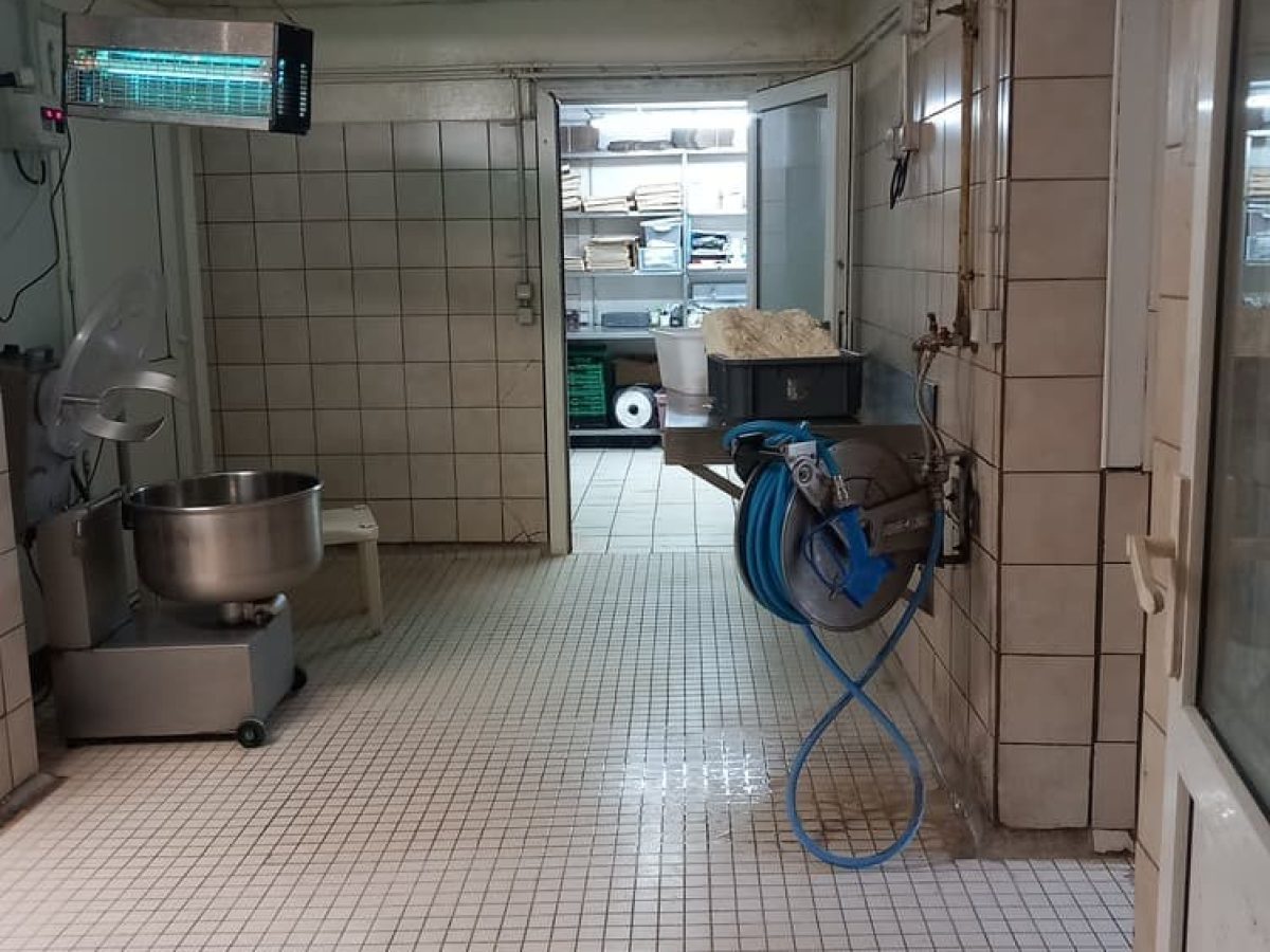 Ferme d’élevage caprin de 52 ha à reprendre à proximité de Souillac – Lot (46)