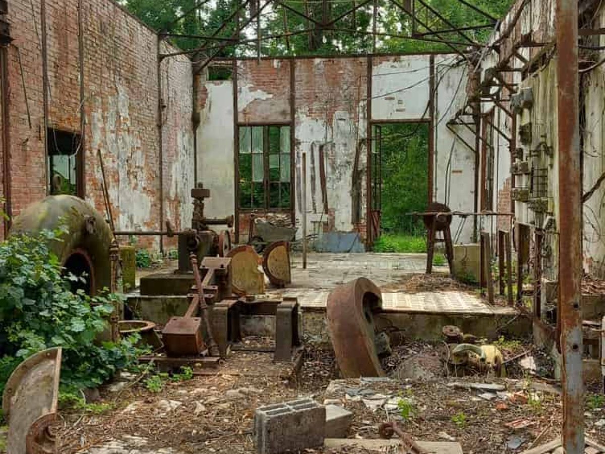 Ferme d’élevage caprin de 52 ha à reprendre à proximité de Souillac – Lot (46)