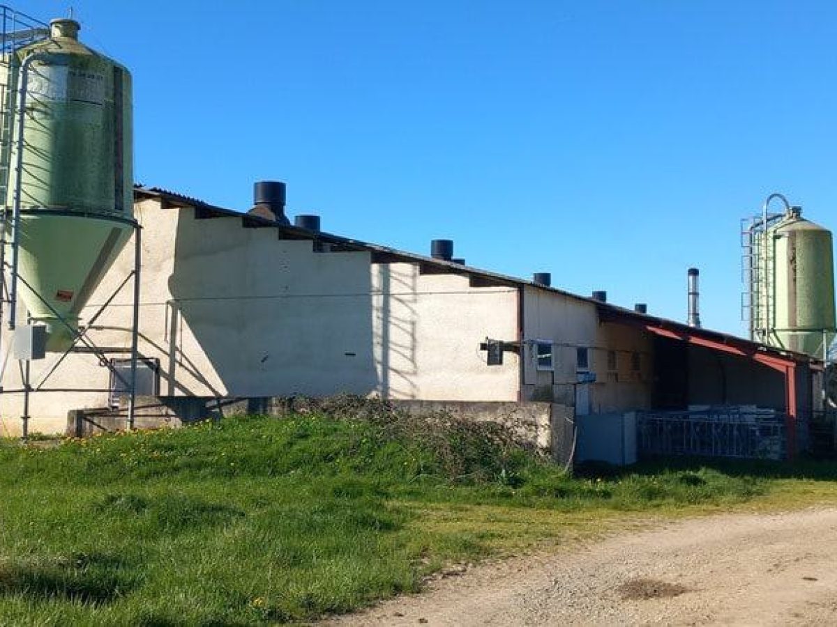 Ferme d’élevage bovin viande à reprendre à proximité de Saint-Céré - Lot (46)