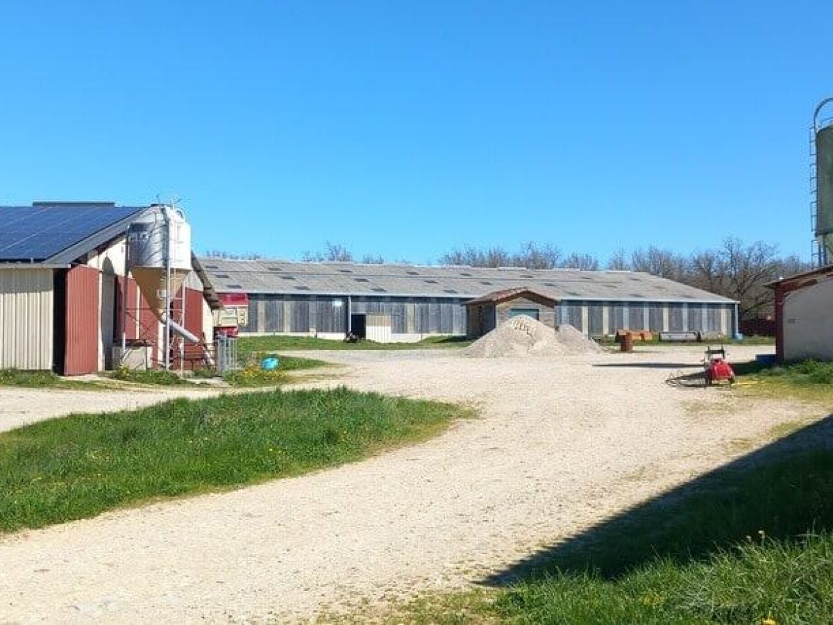 Ferme d’élevage bovin viande à reprendre à proximité de Saint-Céré - Lot (46)