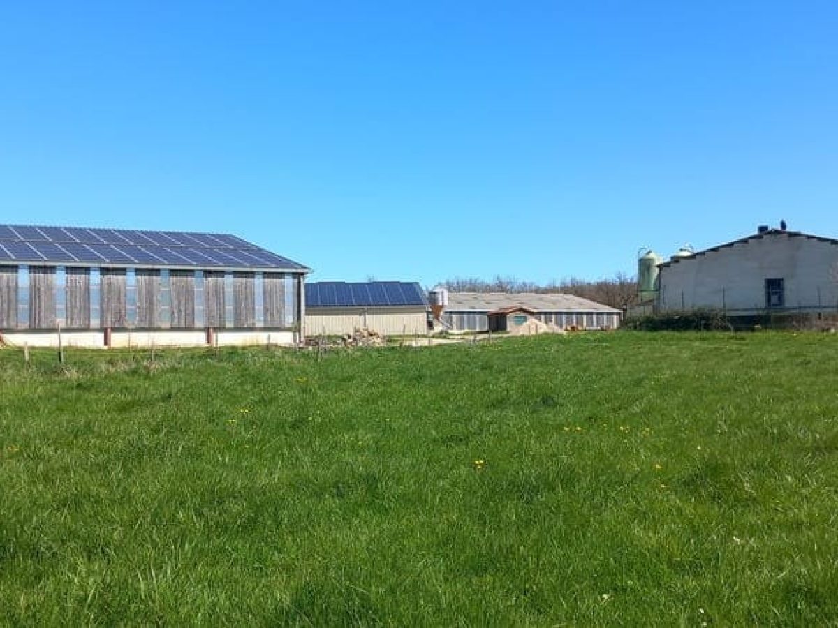 Ferme d’élevage bovin viande à reprendre à proximité de Saint-Céré - Lot (46)