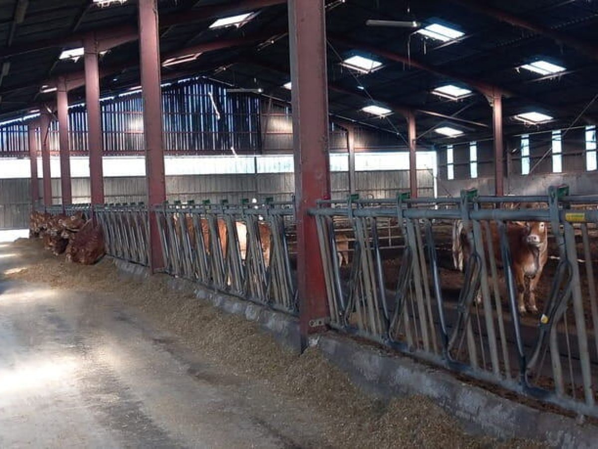 Ferme d’élevage bovin viande à reprendre à proximité de Saint-Céré - Lot (46)