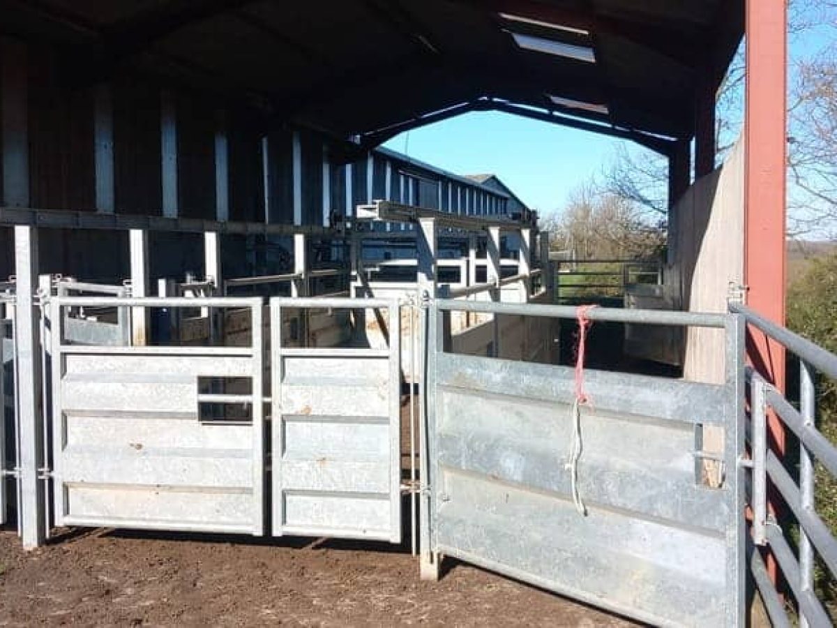 Ferme d’élevage bovin viande à reprendre à proximité de Saint-Céré - Lot (46)