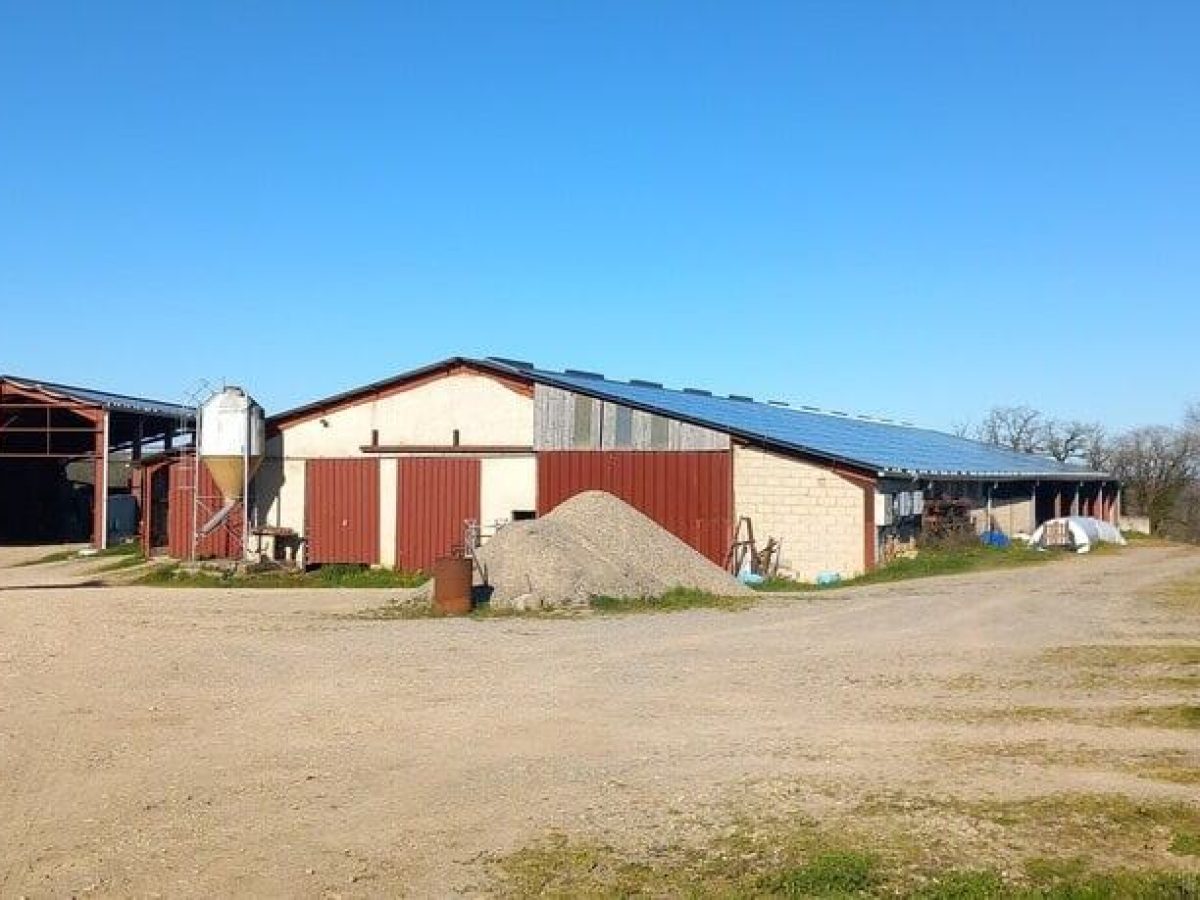 Ferme d’élevage bovin viande à reprendre à proximité de Saint-Céré - Lot (46)