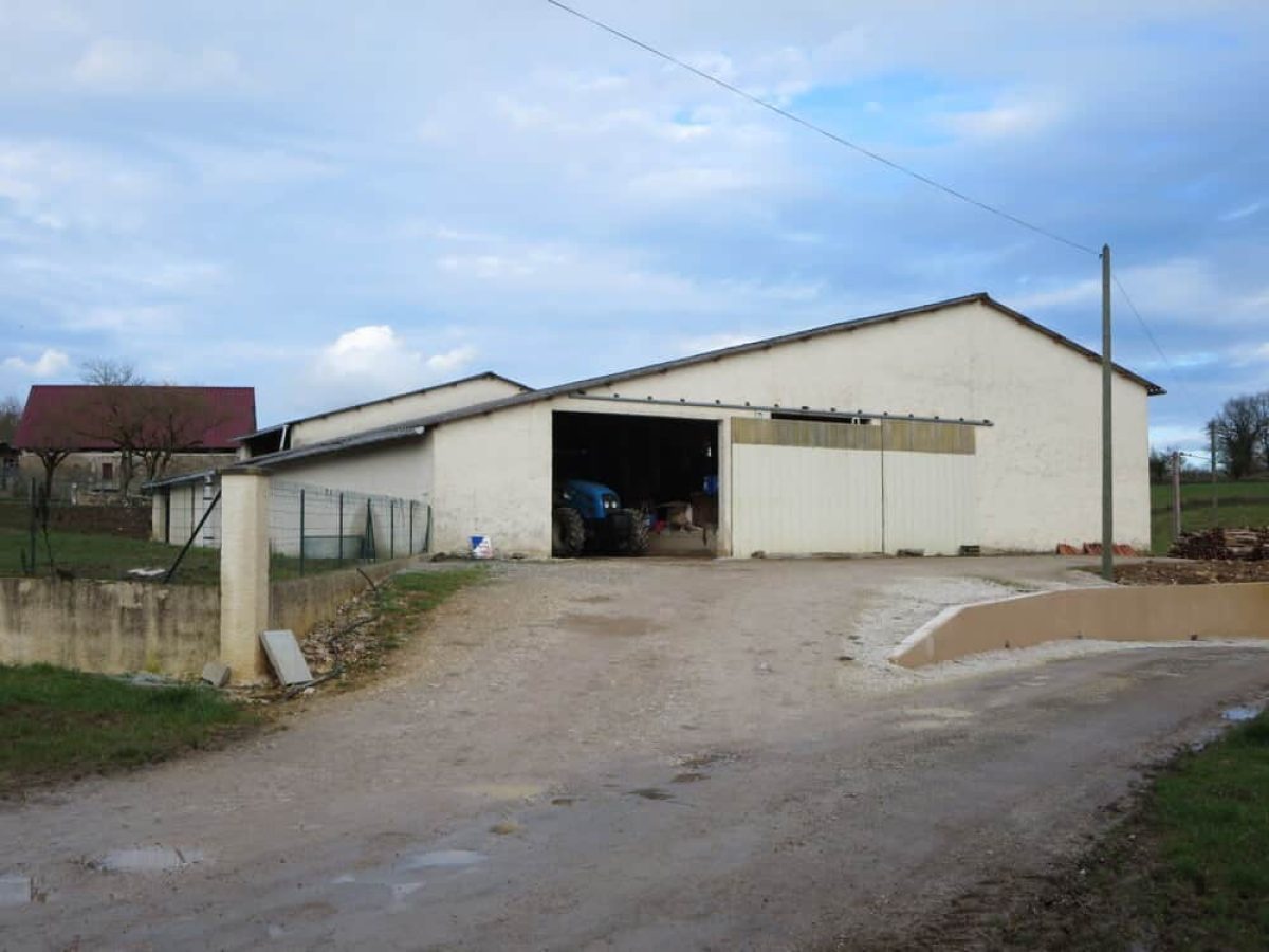 Ferme d’Élevage Bovins Laitiers à reprendre dans la région agricole du Limargue – Lot (46)