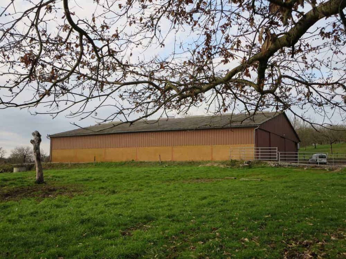 Ferme d’Élevage Bovins Laitiers à reprendre dans la région agricole du Limargue – Lot (46)