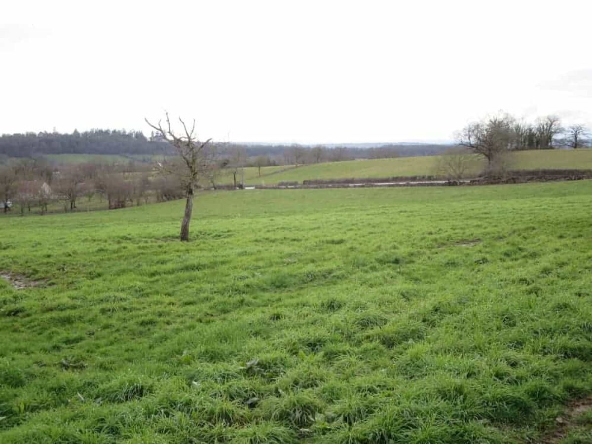 Ferme d’Élevage Bovins Laitiers à reprendre dans la région agricole du Limargue – Lot (46)