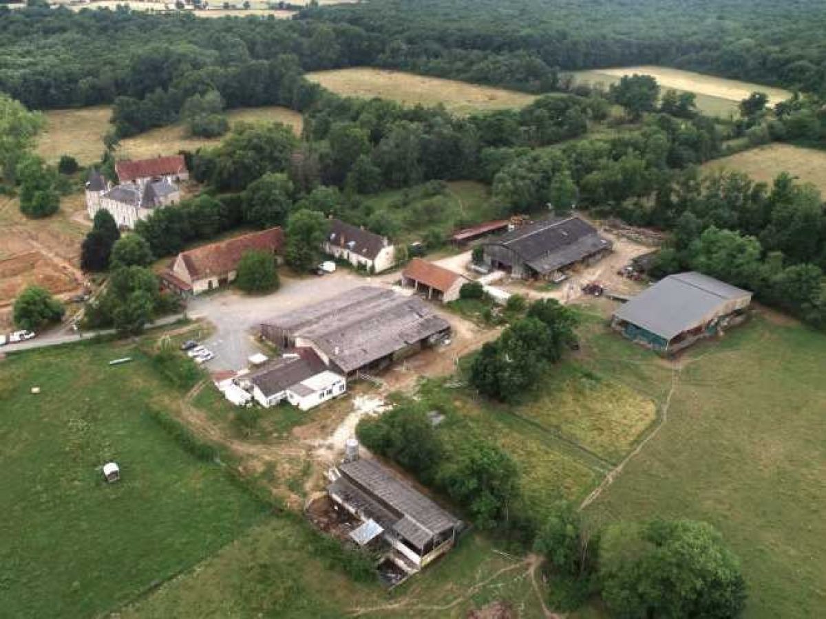Ferme d’Élevage Bovins laitiers à reprendre à Neuville-lès-Decize – Nièvre (58)