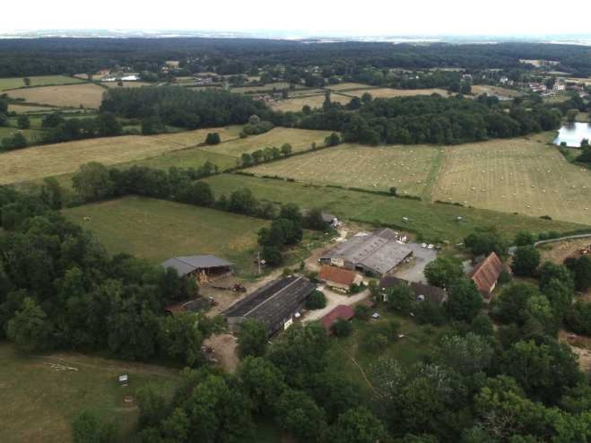 Ferme d’Élevage Bovins laitiers à reprendre à Neuville-lès-Decize – Nièvre (58)