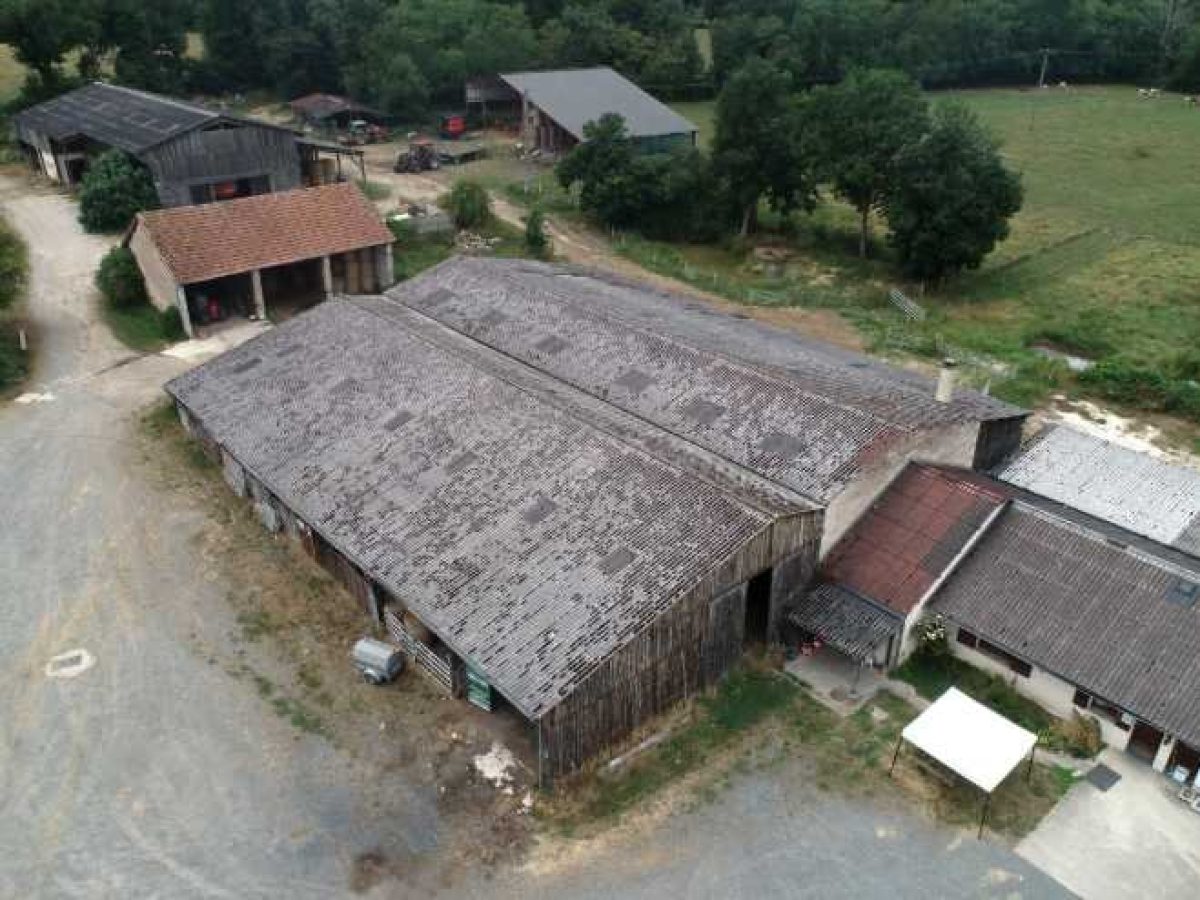 Ferme d’Élevage Bovins laitiers à reprendre à Neuville-lès-Decize – Nièvre (58)