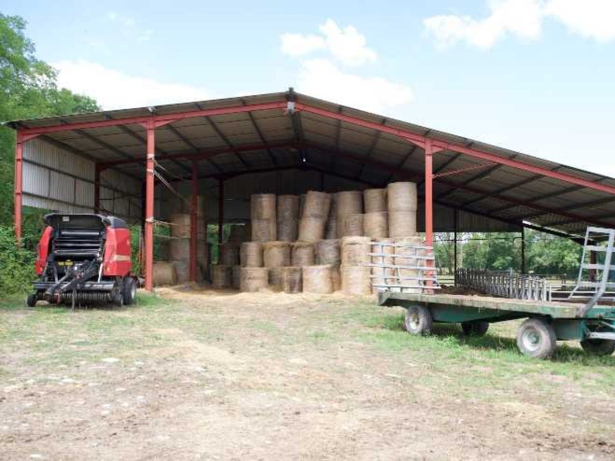 Ferme d’Élevage Bovins laitiers à reprendre à Neuville-lès-Decize – Nièvre (58)