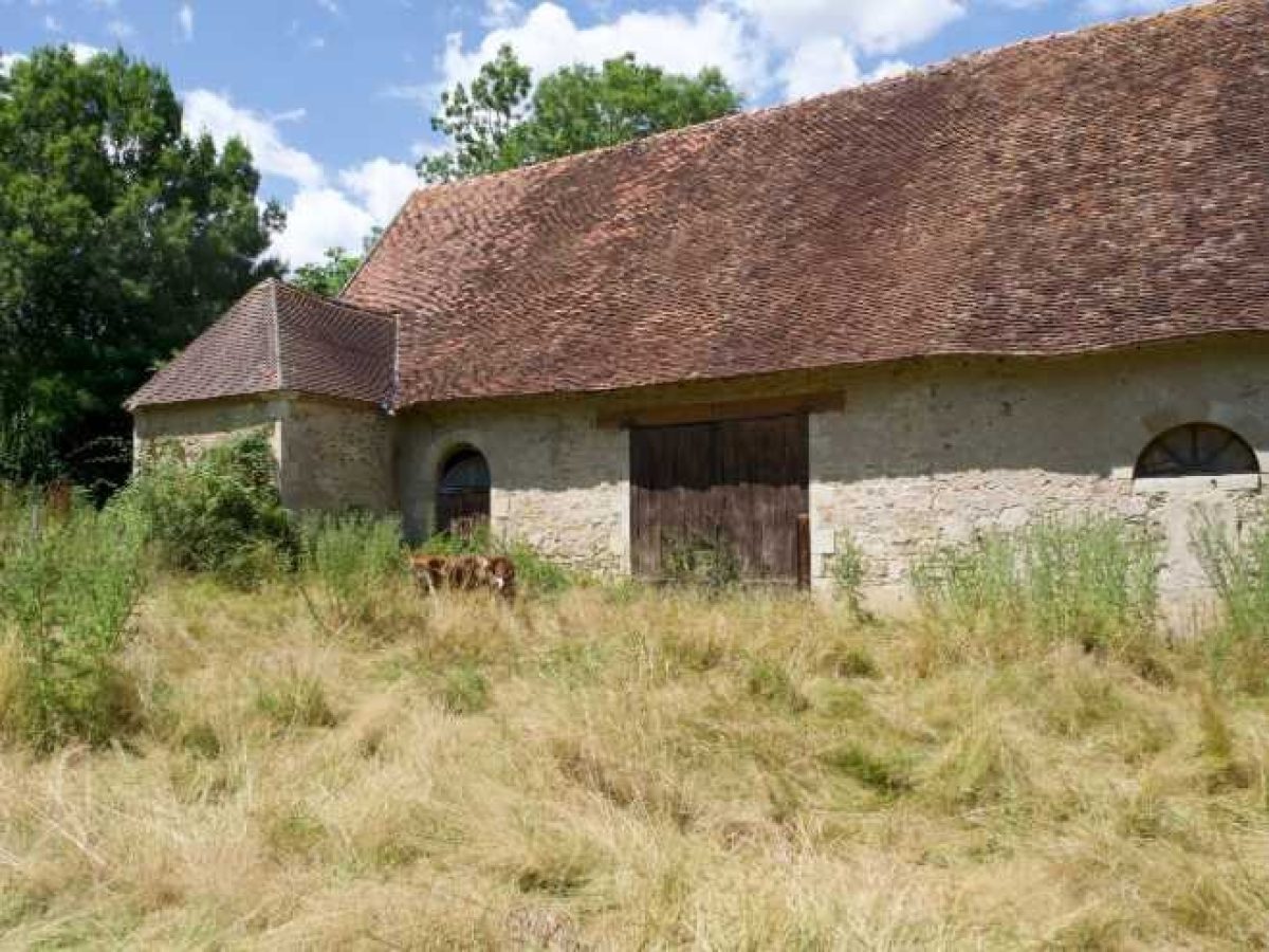 Ferme d’Élevage Bovins laitiers à reprendre à Neuville-lès-Decize – Nièvre (58)