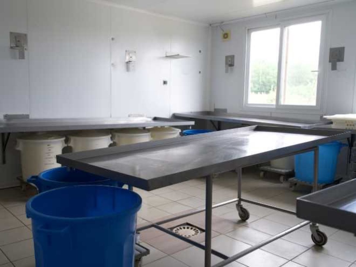 Ferme d’Élevage Bovins laitiers à reprendre à Neuville-lès-Decize – Nièvre (58)