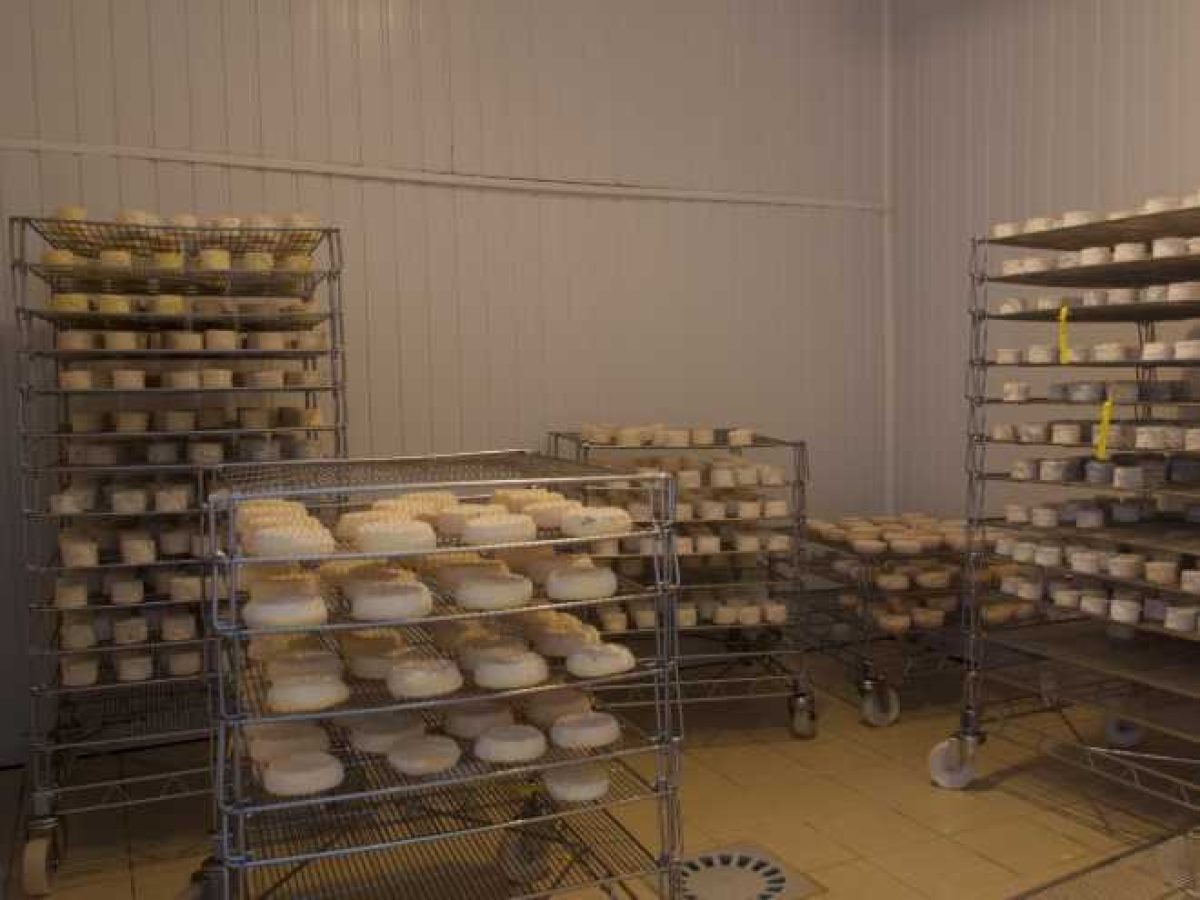 Ferme d’Élevage Bovins laitiers à reprendre à Neuville-lès-Decize – Nièvre (58)