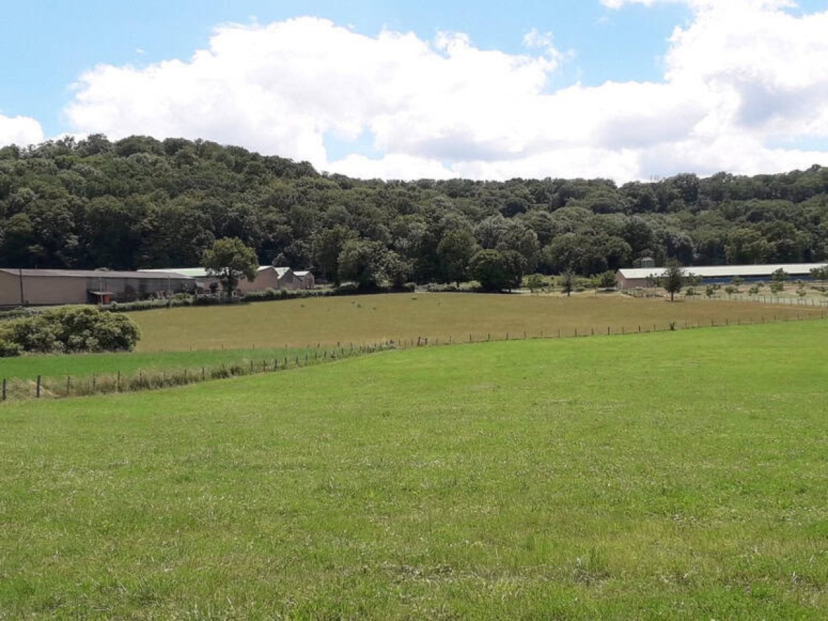 Recherche associé.e en élevage ovin et avicole à proximité de Gramat - Lot (46)