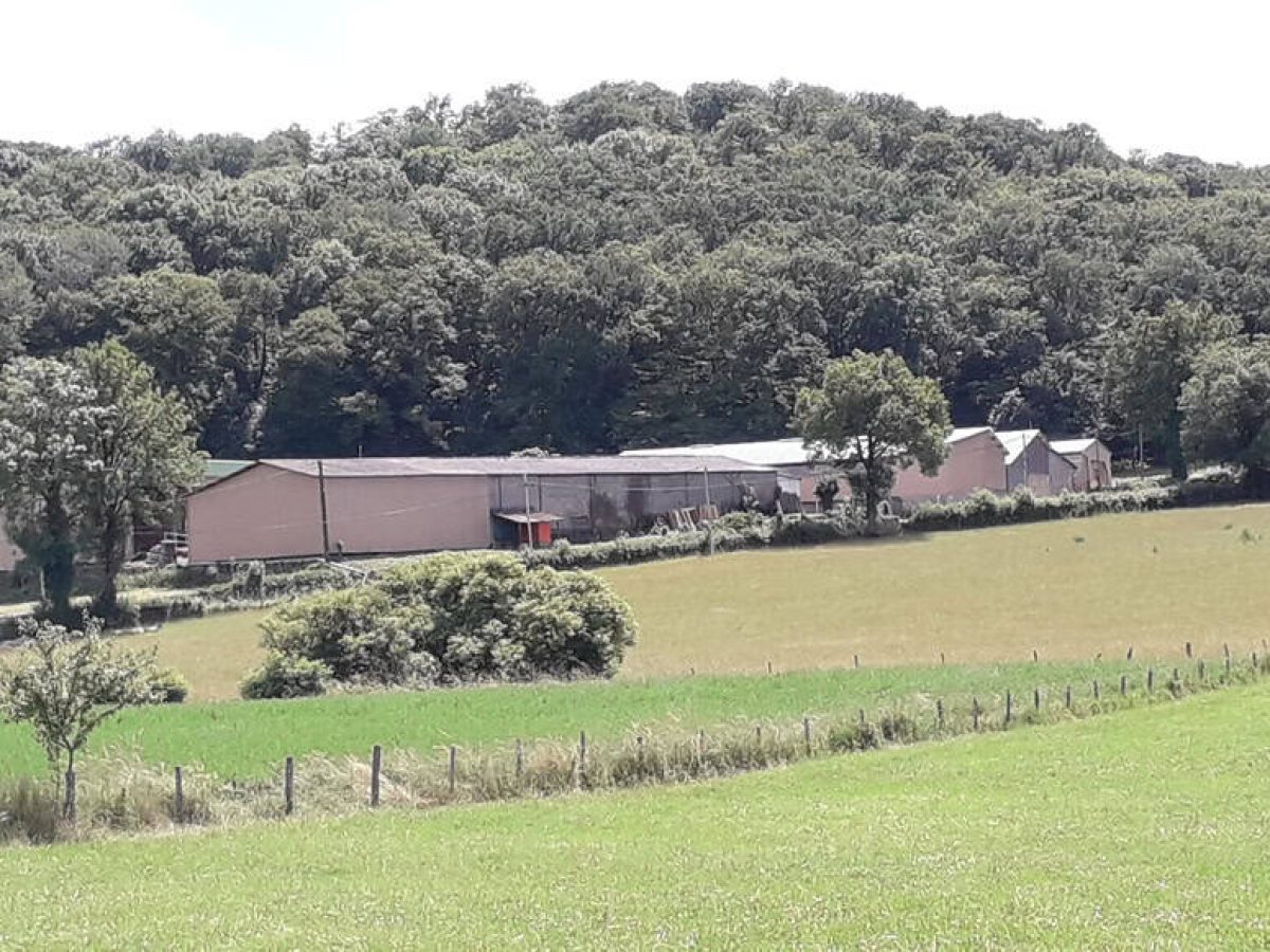 Recherche associé.e en élevage ovin et avicole à proximité de Gramat - Lot (46)