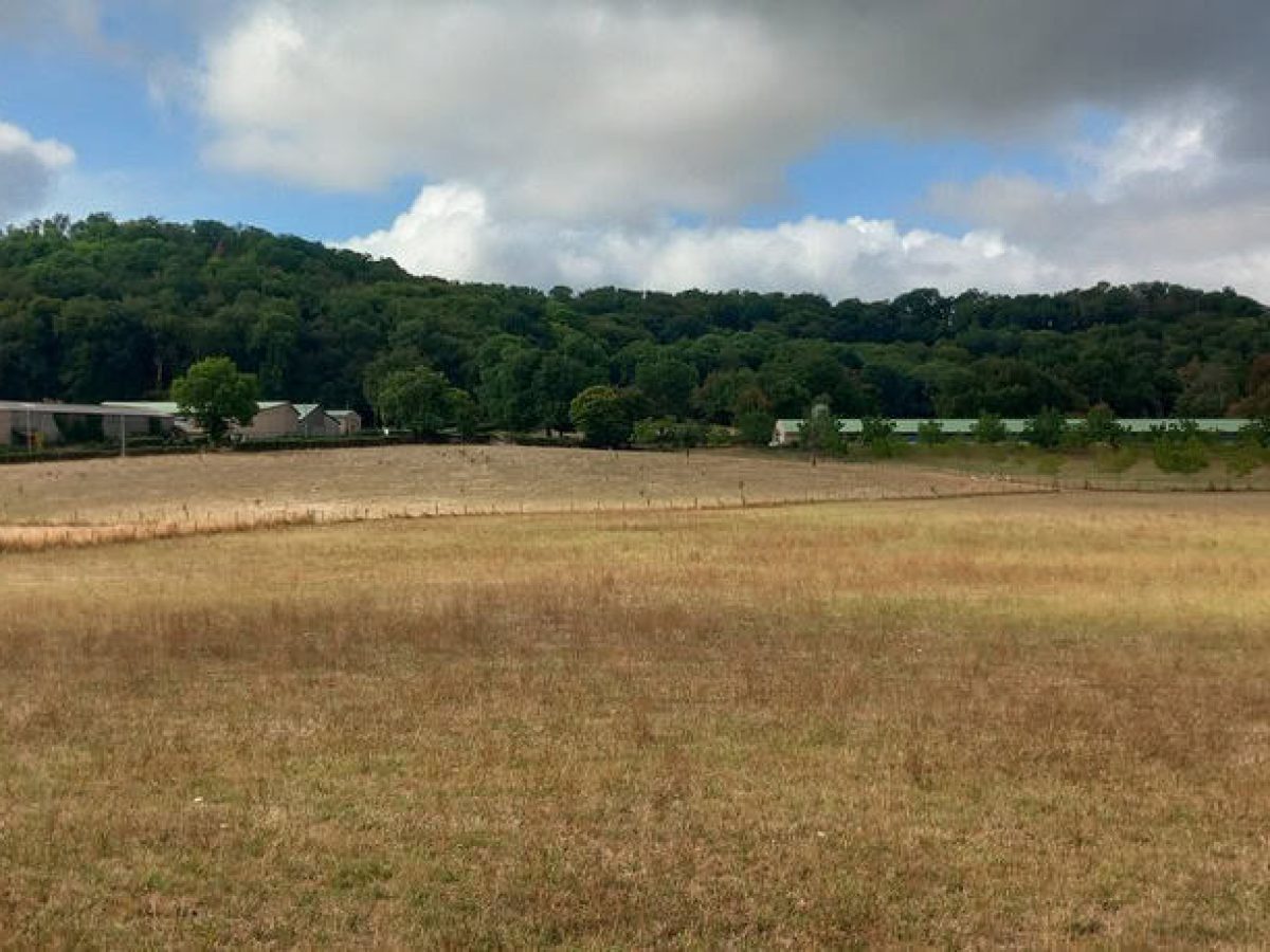 Recherche associé.e en élevage ovin et avicole à proximité de Gramat - Lot (46)