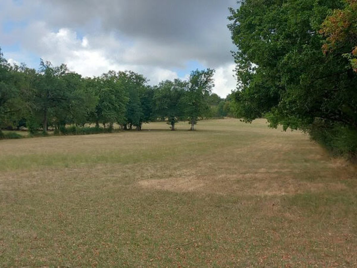 Recherche associé.e en élevage ovin et avicole à proximité de Gramat - Lot (46)