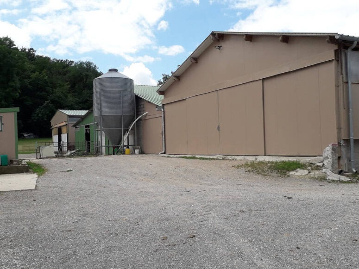 Recherche associé.e en élevage ovin et avicole à proximité de Gramat - Lot (46)