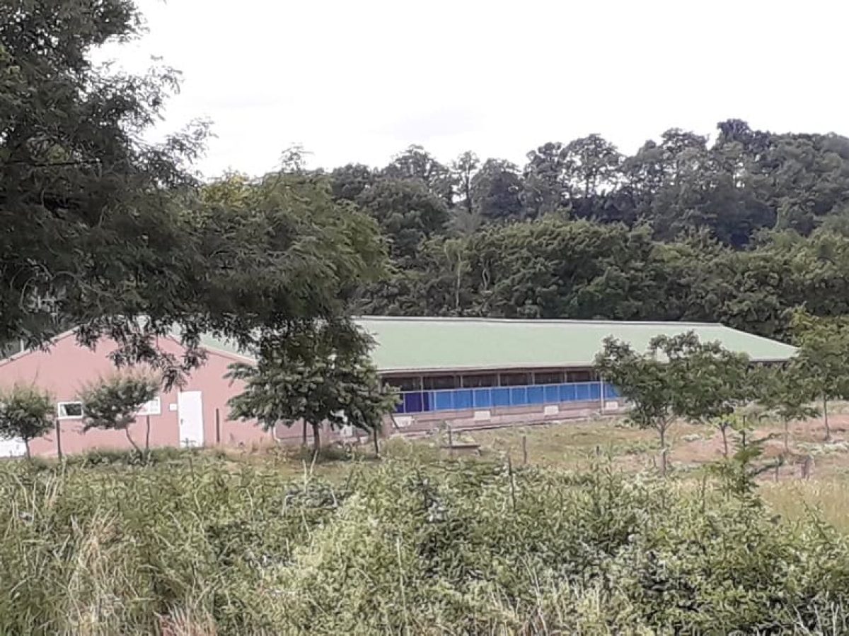 Recherche associé.e en élevage ovin et avicole à proximité de Gramat - Lot (46)