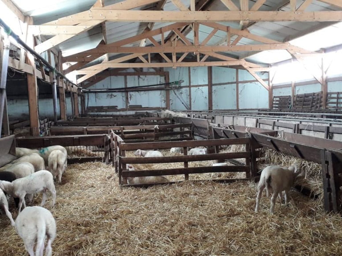 Recherche associé.e en élevage ovin et avicole à proximité de Gramat - Lot (46)