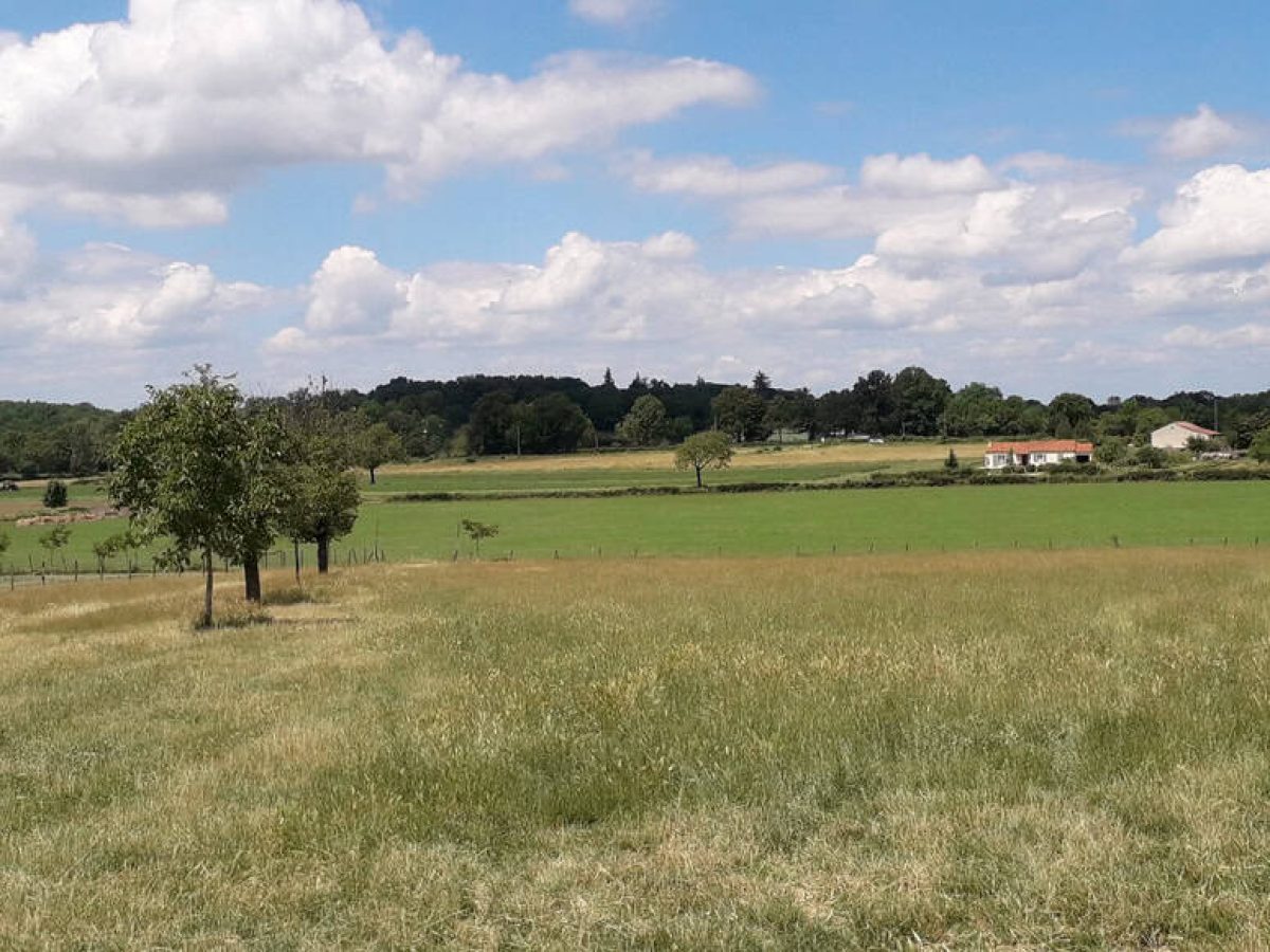 Recherche associé.e en élevage ovin et avicole à proximité de Gramat - Lot (46)