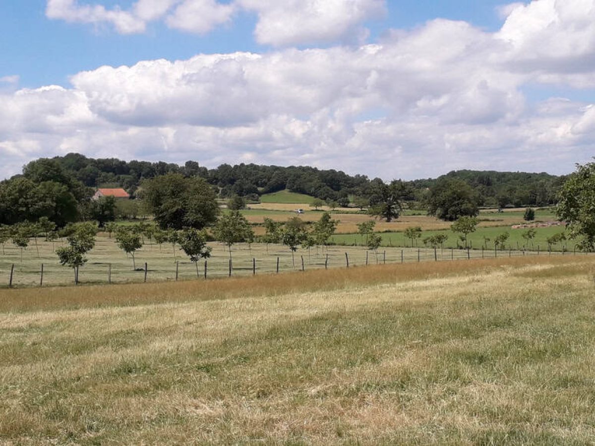 Recherche associé.e en élevage ovin et avicole à proximité de Gramat - Lot (46)