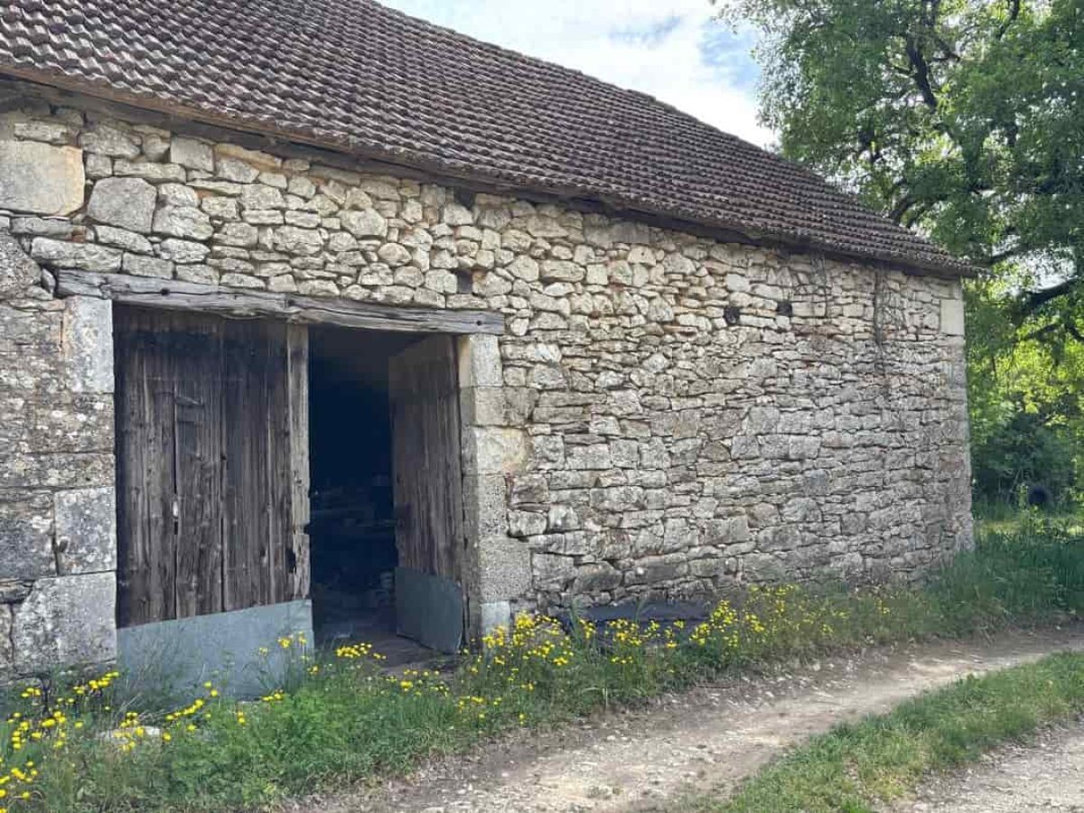 Ferme d’Élevage Ovin à reprendre à Peyrefiche – Occitanie (46)