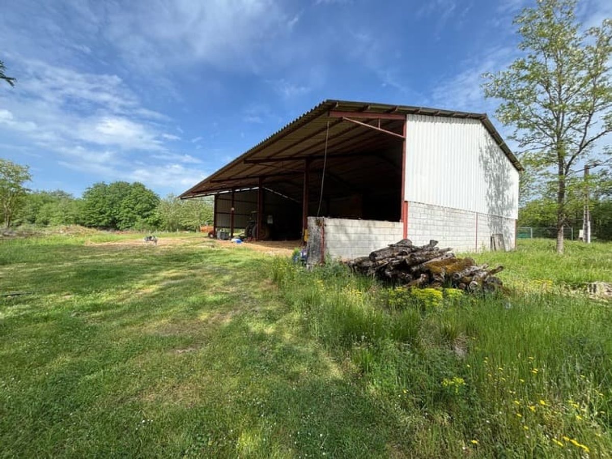 Ferme d’Élevage Ovin à reprendre à Peyrefiche – Occitanie (46)