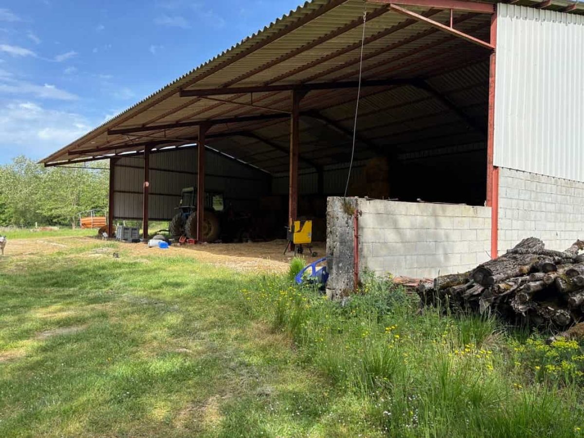 Ferme d’Élevage Ovin à reprendre à Peyrefiche – Occitanie (46)