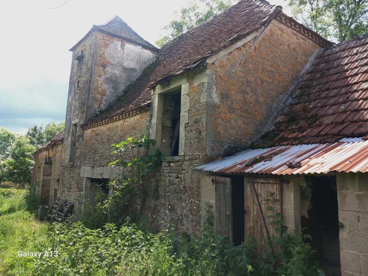 Ferme d’élevage bovin allaitant à reprendre sur le Causse de Gramat – Lot (46)