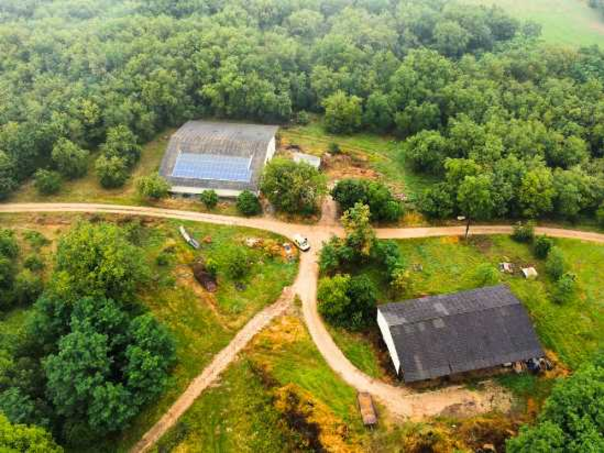 Ferme d’Élevage Caprin et Ovin à reprendre à Peyrefiche – Occitanie (46)