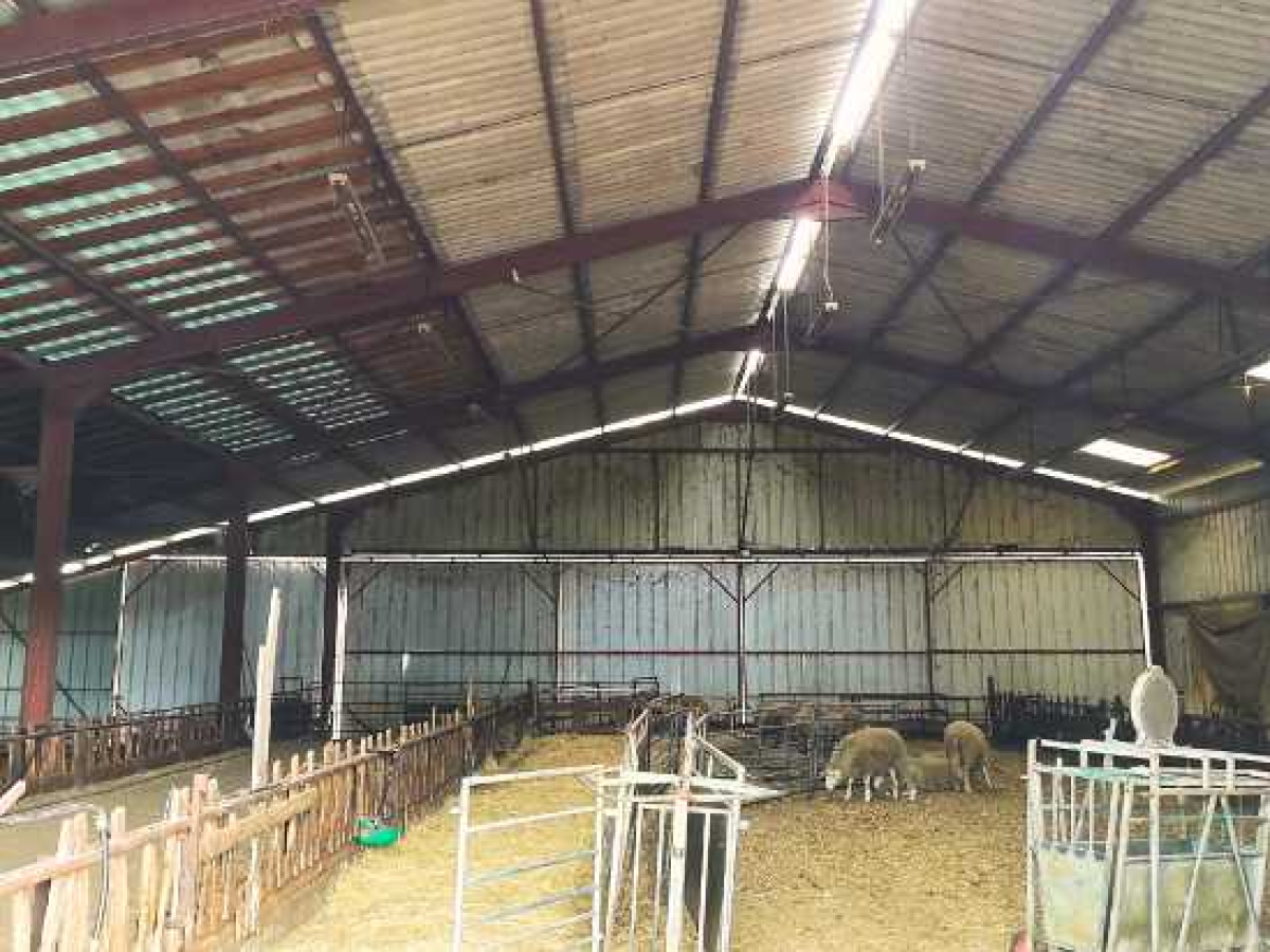 Ferme d’Élevage Caprin et Ovin à reprendre à Peyrefiche – Occitanie (46)