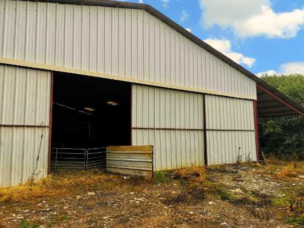 Ferme d’Élevage Caprin et Ovin à reprendre à Peyrefiche – Occitanie (46)