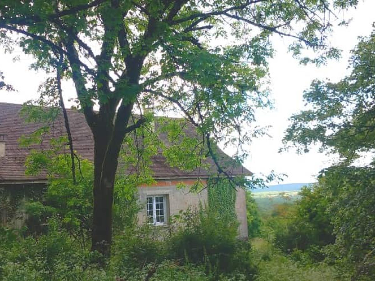 Ferme d’élevage bovin allaitant à reprendre sur le Causse de Gramat – Lot (46)