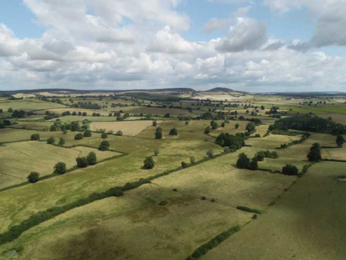 Ferme d’Élevage Bovins viande à reprendre à Lurcy-le-Bourg – Nièvre (58)